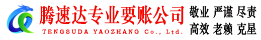 云龙追债公司